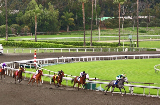 Santa Anita Filly Cosmic Heat Euthanized After Derby Day Fall