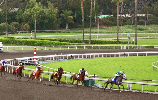 Santa Anita Filly Cosmic Heat Euthanized After Derby Day Fall