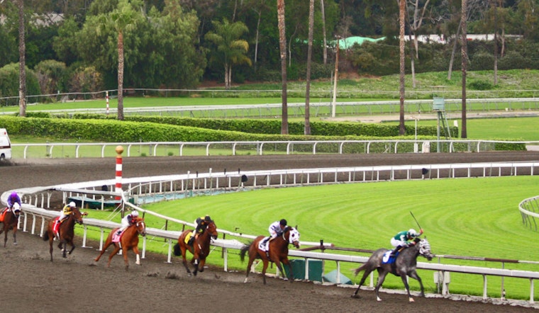 Santa Anita Filly Cosmic Heat Euthanized After Derby Day Fall