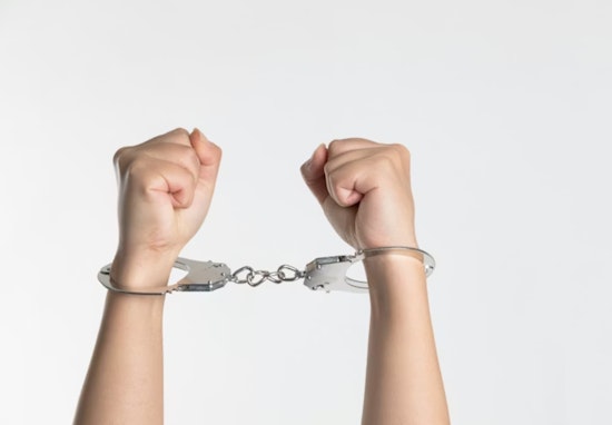 Santa Monica Woman Arrested After Alleged Puppy Assault