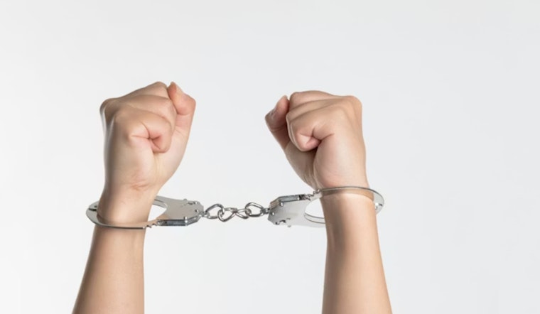 Santa Monica Woman Arrested After Alleged Puppy Assault