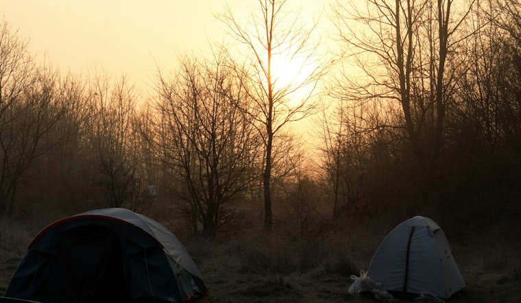 Savannah Scrambles to Take Back Storybook Squares From Tent Camps