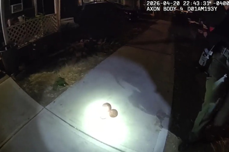 Scrap Hunter’s Civil War Cannonball Find Shakes Quiet Bremen Block