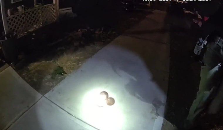 Scrap Hunter’s Civil War Cannonball Find Shakes Quiet Bremen Block