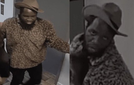 Seattle Cops Hunt Sex Assault Suspect, Turn To Public For Crucial Id