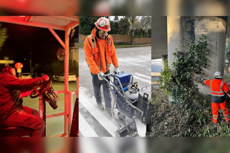 Seattle Crews Wage War On Potholes, Plant 1,000 Trees In Year One Levy Push