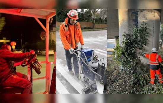 Seattle Crews Wage War On Potholes, Plant 1,000 Trees In Year One Levy Push