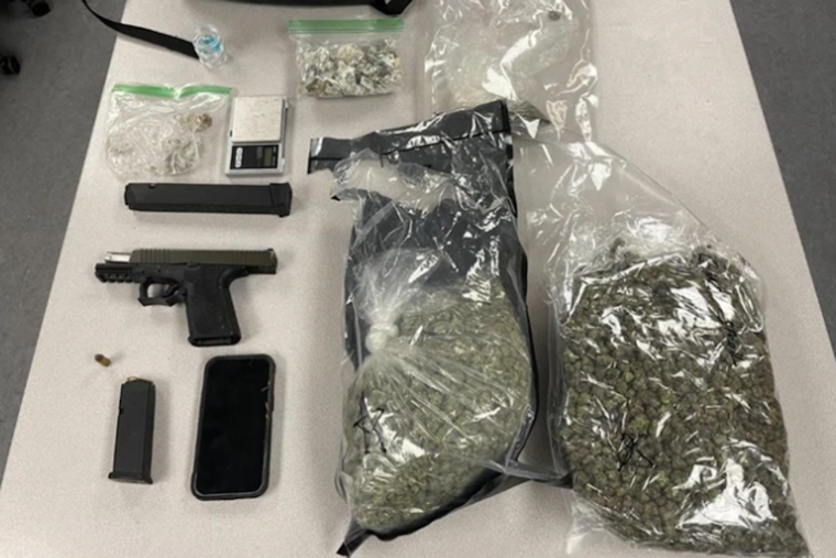 Shrooms, Pot And Ghost Gun: Catonsville Man Nabbed After Millersville Chase, Police Say