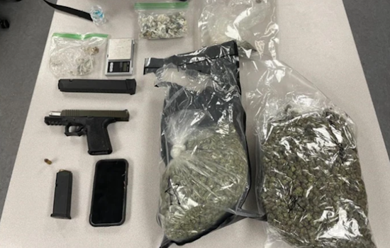 Shrooms, Pot And Ghost Gun: Catonsville Man Nabbed After Millersville Chase, Police Say