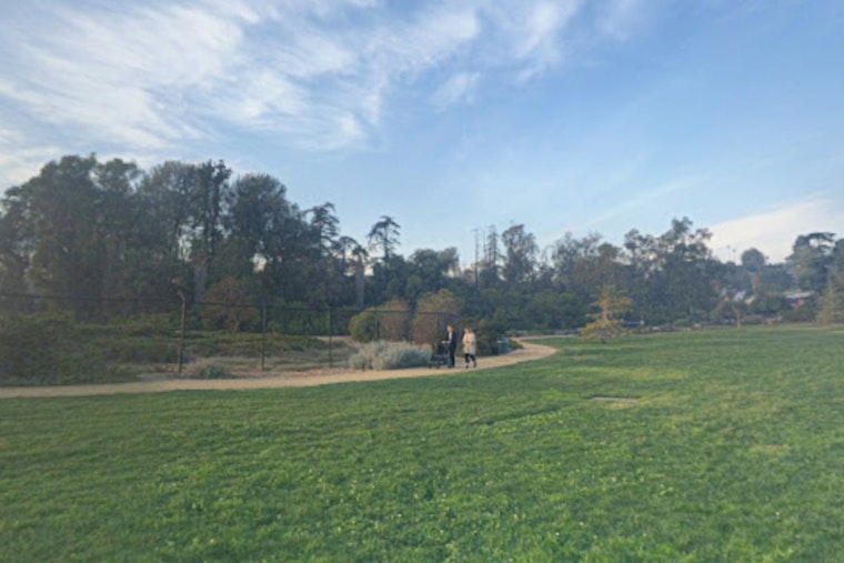 Silver Lake Joggers Sound Alarm Over Reservoir Groper