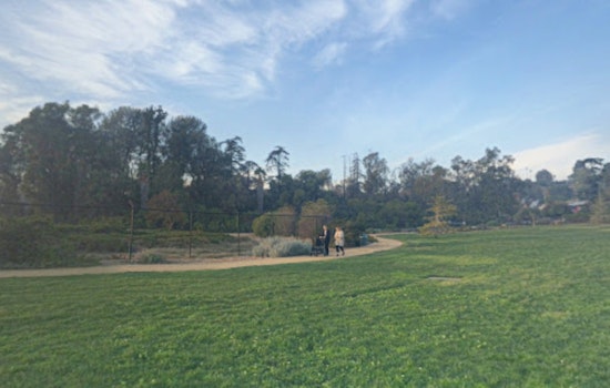Silver Lake Joggers Sound Alarm Over Reservoir Groper