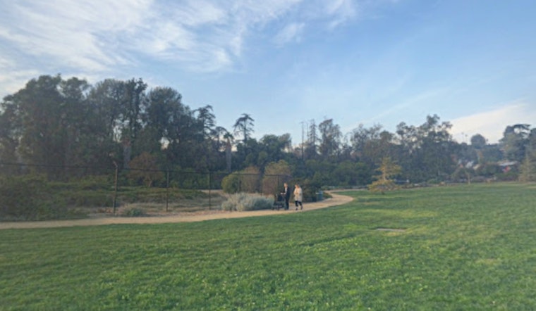 Silver Lake Joggers Sound Alarm Over Reservoir Groper