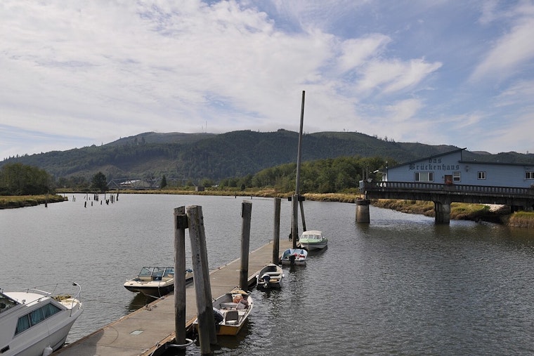 Skinny Young Gray Whale Spotted Way Up Willapa River