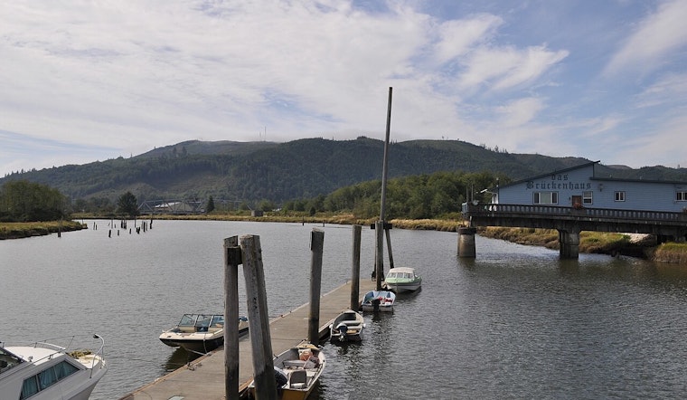 Skinny Young Gray Whale Spotted Way Up Willapa River