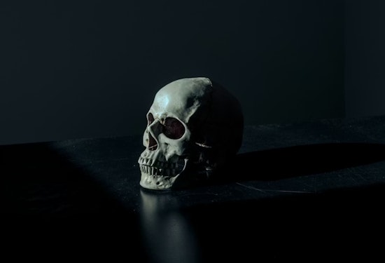 Skull In Amazon Box Identified As Missing Chicago Man