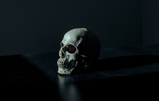 Skull In Amazon Box Identified As Missing Chicago Man