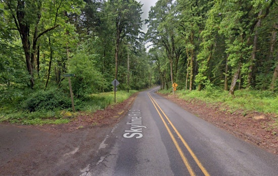 Skyline Road Crash Kills Salem Man After Jeep Slams Into Tree