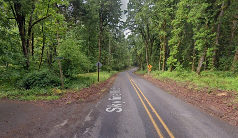 Skyline Road Crash Kills Salem Man After Jeep Slams Into Tree