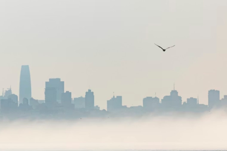 Smoggy Skies Put Charlotte On Edge With Code Orange Alert Friday Night