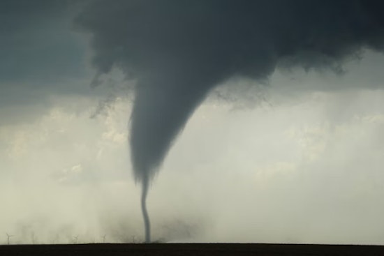 Sneaky EF-1 Twister Shreds Trees Along Rich–Cache County Line