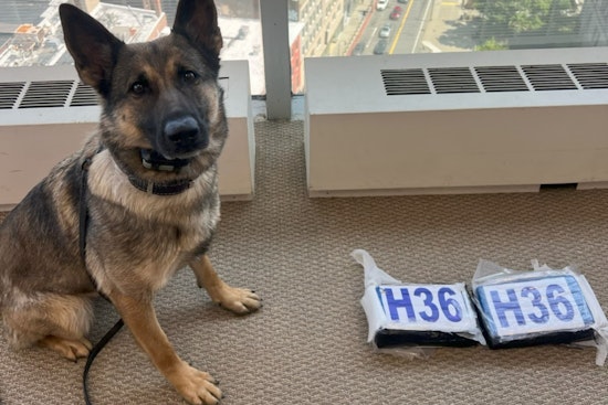 Sniffing Out Trouble: Auburn K-9 Helps Feds Crack Worcester Drug Ring