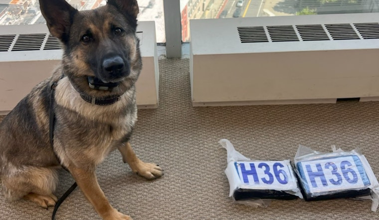 Sniffing Out Trouble: Auburn K-9 Helps Feds Crack Worcester Drug Ring