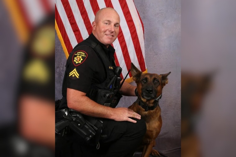Solano K-9 Stabbed In I-80 Showdown Now Home After Surgery