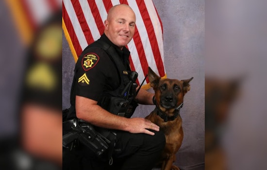 Solano K-9 Stabbed In I-80 Showdown Now Home After Surgery