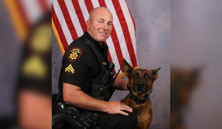 Solano K-9 Stabbed In I-80 Showdown Now Home After Surgery