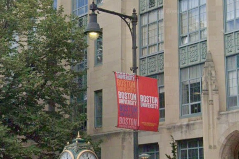 Songbird Neurons Tunnel Through Brain Tissue, BU Study Shows