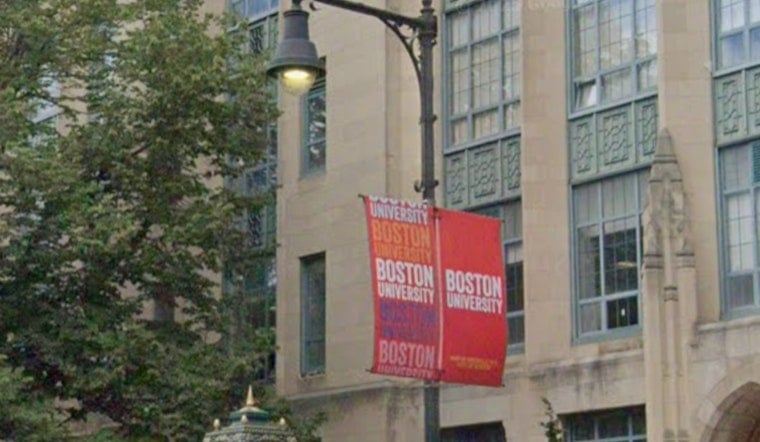 Songbird Neurons Tunnel Through Brain Tissue, BU Study Shows