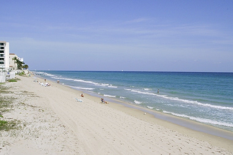 South Florida Beach Fixes May Be Chumming The Water For Sharks