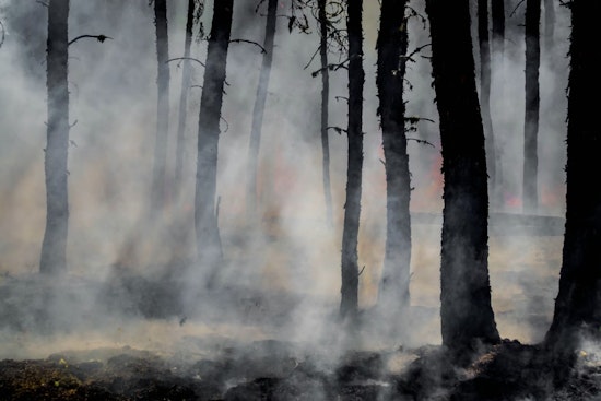 South Georgia Wildfire Smoke Chokes Atlanta Skies