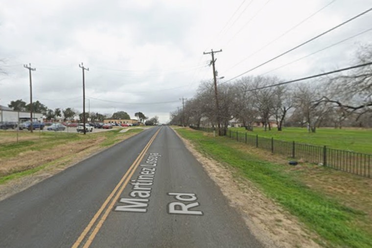 Southside Horror As Pit Bull Mauls Woman, Owner Slapped With Citations