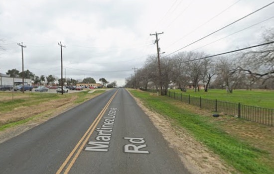 Southside Horror As Pit Bull Mauls Woman, Owner Slapped With Citations