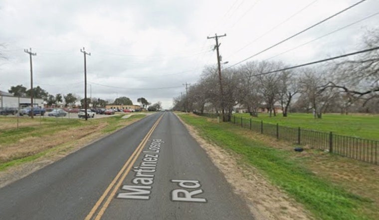 Southside Horror As Pit Bull Mauls Woman, Owner Slapped With Citations