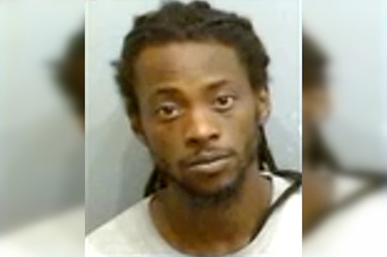 Southwest Atlanta Dog Trainer Busted After Cops Find ‘Horrific’ Kennels