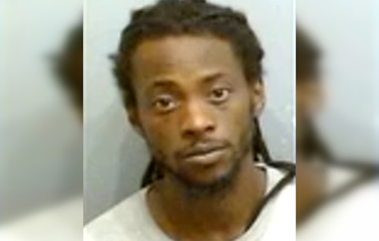 Southwest Atlanta Dog Trainer Busted After Cops Find ‘Horrific’ Kennels