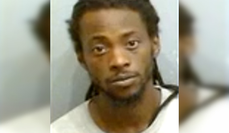 Southwest Atlanta Dog Trainer Busted After Cops Find ‘Horrific’ Kennels