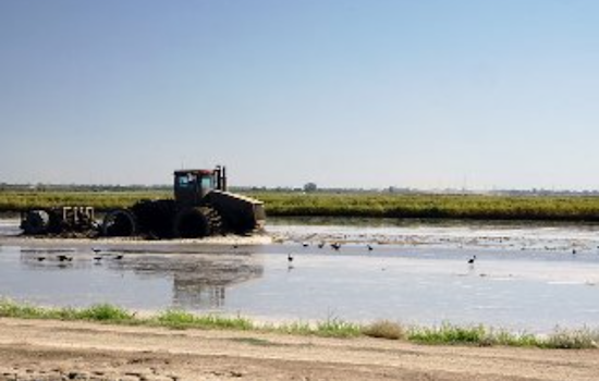Spring Drought Slams Maryland, USDA Tags Nine Counties as Disaster Zones