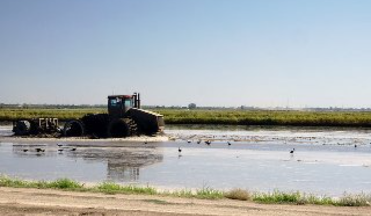 Spring Drought Slams Maryland, USDA Tags Nine Counties as Disaster Zones