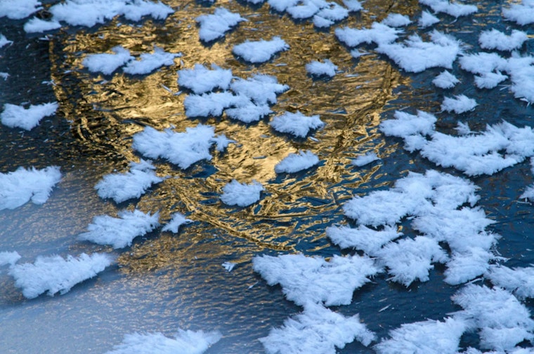 Spring Smackdown: Freeze Warning Chills D.C. As Gusty Winds Roll In
