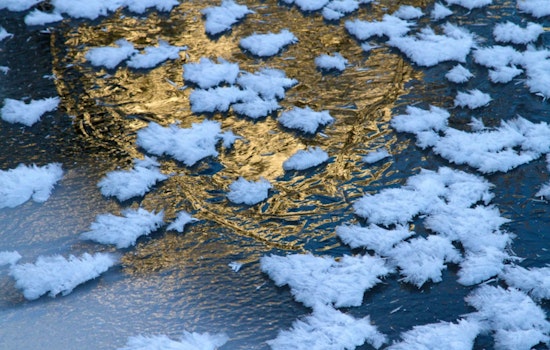 Spring Smackdown: Freeze Warning Chills D.C. As Gusty Winds Roll In