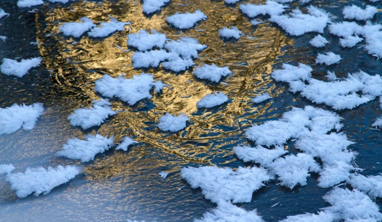 Spring Smackdown: Freeze Warning Chills D.C. As Gusty Winds Roll In