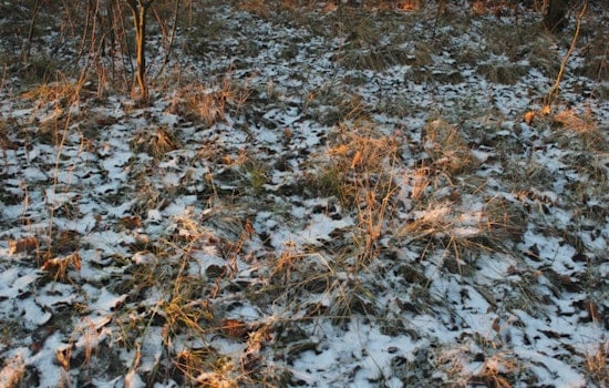 Spring Smackdown: Philly Braces For Overnight Freeze And Weekday Chill