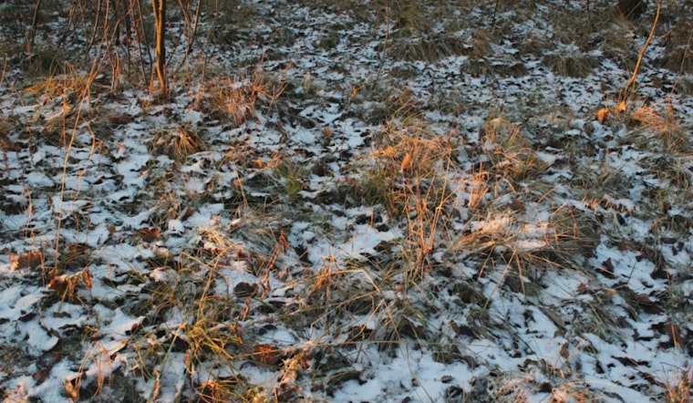 Spring Smackdown: Philly Braces For Overnight Freeze And Weekday Chill