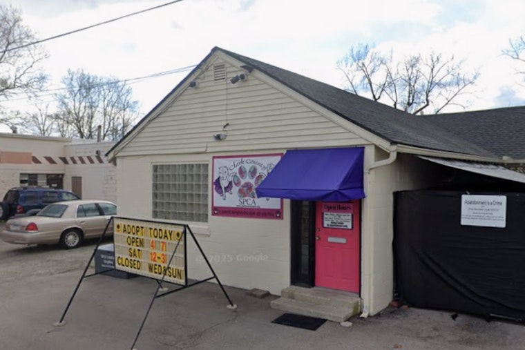 Springfield Shelter On The Hunt For Driver Who Ditched Box Of Puppies