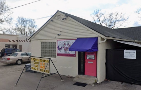 Springfield Shelter On The Hunt For Driver Who Ditched Box Of Puppies