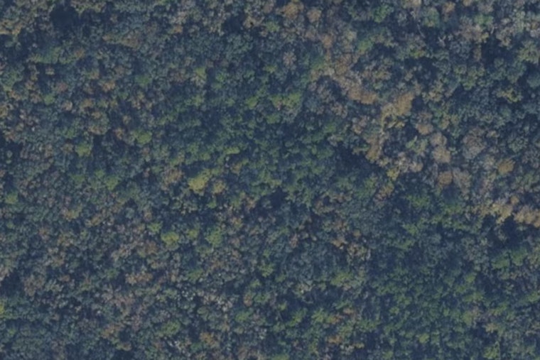 St. Johns County Quietly Scoops Up 33 Wooded Acres By Elkton Fairgrounds