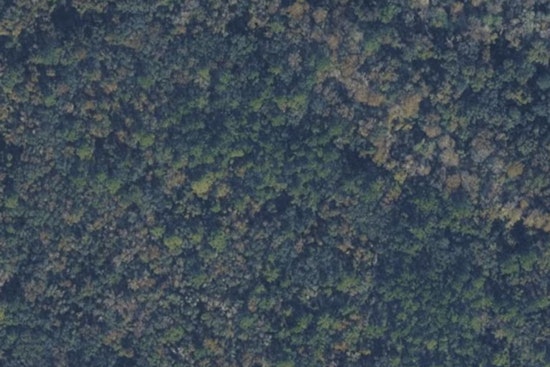 St. Johns County Quietly Scoops Up 33 Wooded Acres By Elkton Fairgrounds